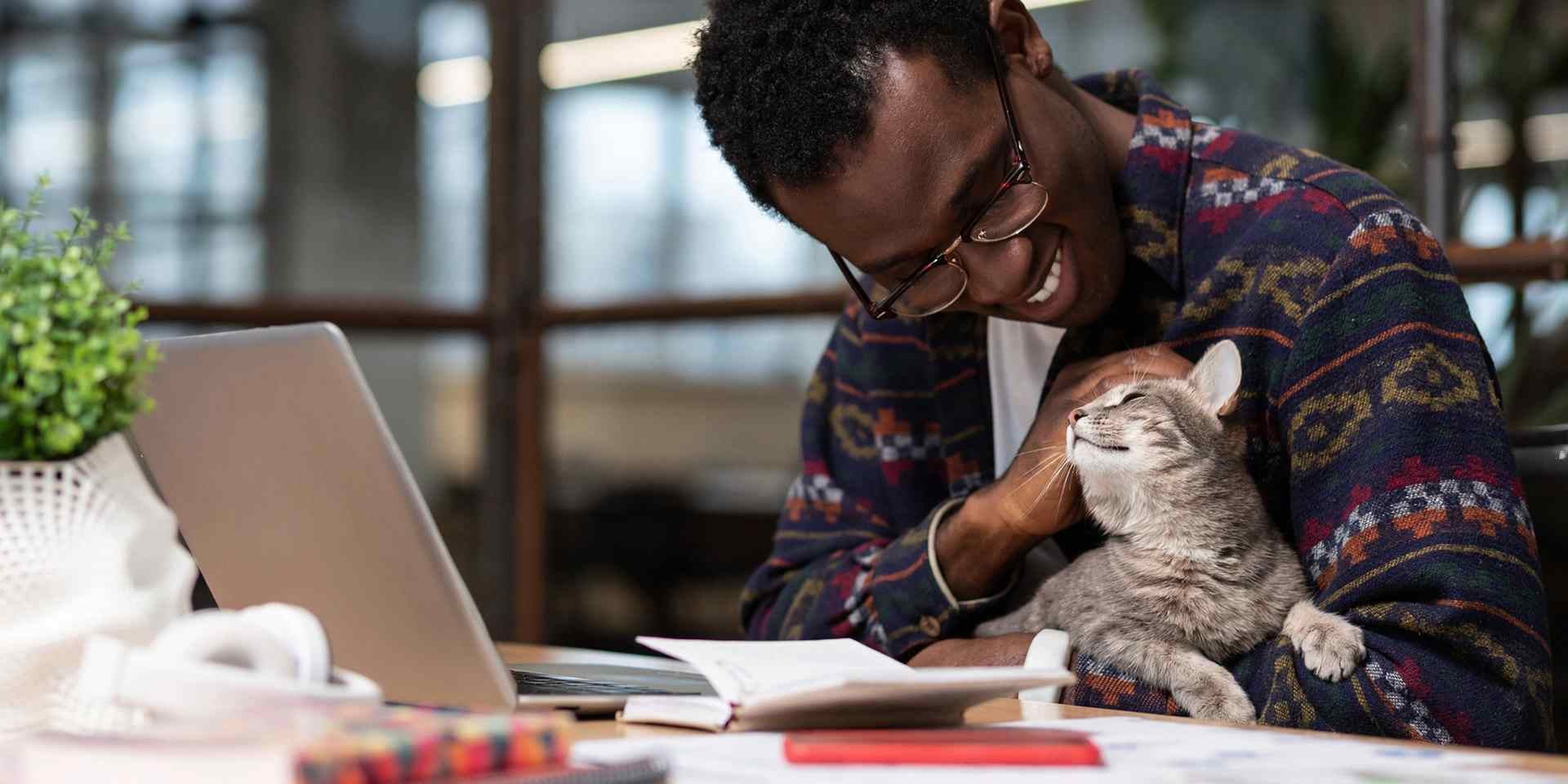 Uno de los beneficios de tener un gato es que tendrás un compañero cariñoso durante tu teletrabajo.