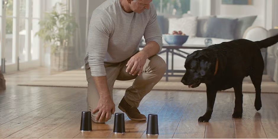 Si piensas “mi perro no quiere comer, ¿qué hago?”, algunos juegos pueden ayudar. Tutor jugando con su mascota.