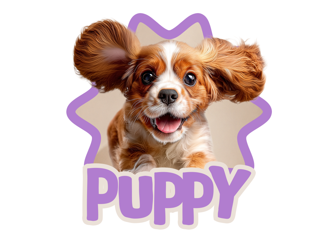 Cachorro pequeño en tarjeta Club Purina Puppy para beneficios y alimentación de perros cachorros