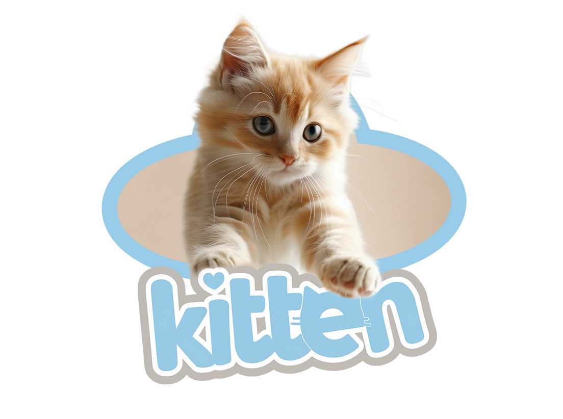 Gatito en tarjeta Club Purina Kitten con beneficios y nutrición para gatitos en crecimiento