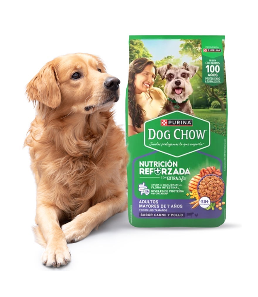 Golden retriever junto al empaque de Dog Chow® Nutrición Reforzada para adultos mayores de 7 años