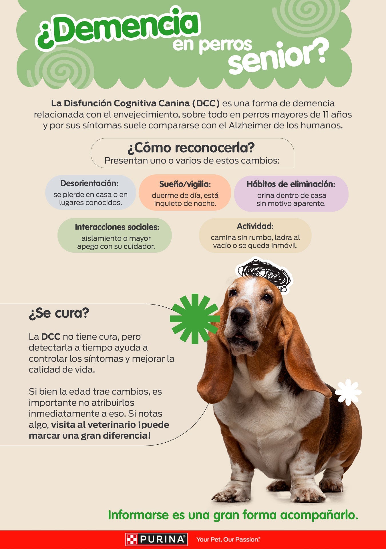 Infografía ¿Demencia en perros senior?: qué es la disfunción cognitiva canina, cómo reconocerla y si se cura