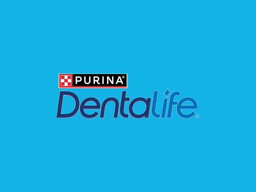 Dentalife brand image