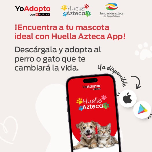 ¡Encuentra a tu mascota ideal con Huella Azteca App! Descárgala y adopta al perro o gato que te cambiará la vida.