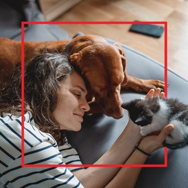 Mujer abrazando a su perro y a su gato en el sillón
