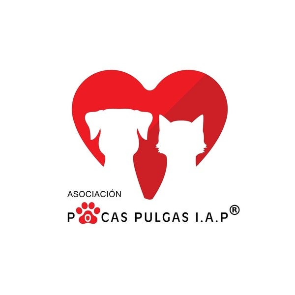 Logotipo de Asociación Pocas Pulgas