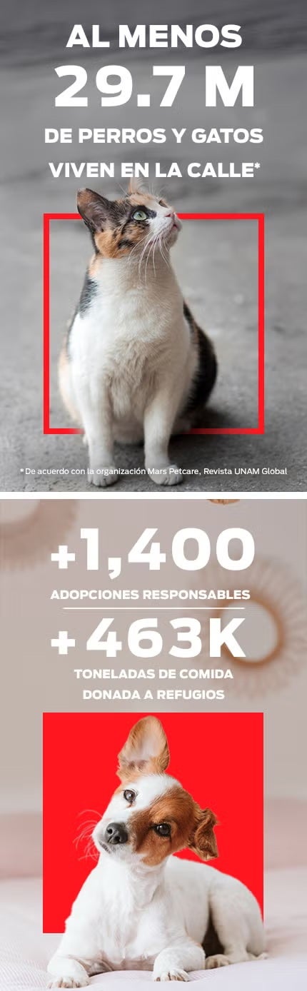 Al menos 29.7 M de perros y gatos en la calle. +1,400 adopciones responsables y +463K toneladas de comida donada a refugios.
