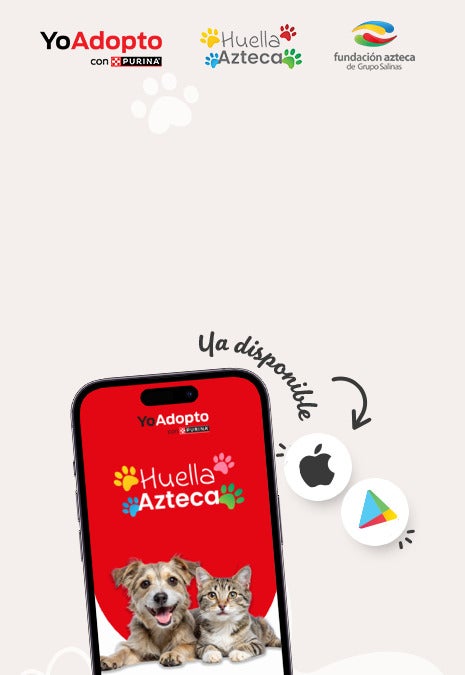 Yo Adopto con Purina y Huella Azteca: la app ya está disponible para iOS y Android