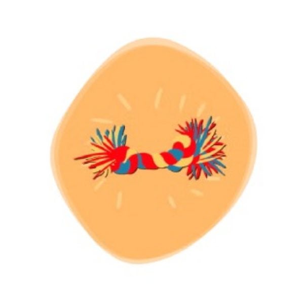 Ilustración de un juguete de cuerda