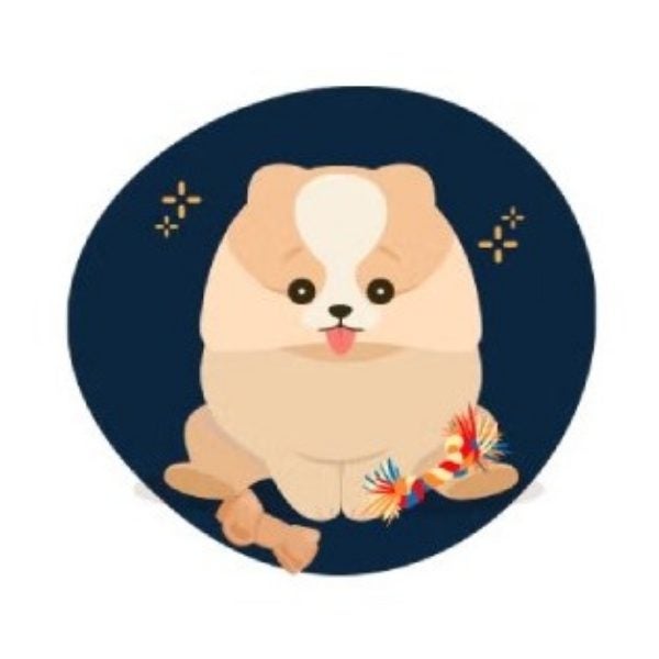 Ilustración de un cachorro de pelo largo