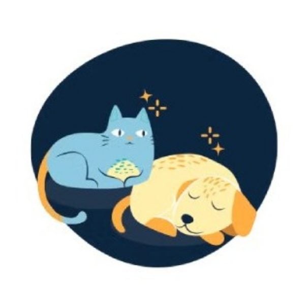 Ilustración de un gato y un perro durmiendo juntos