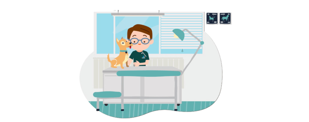 Ilustración de un veterinario revisando a una mascota