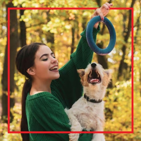 Mujer jugando con su perro con un aro en el bosque
