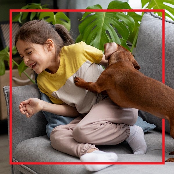 Niña jugando con su perro salchicha en la sala