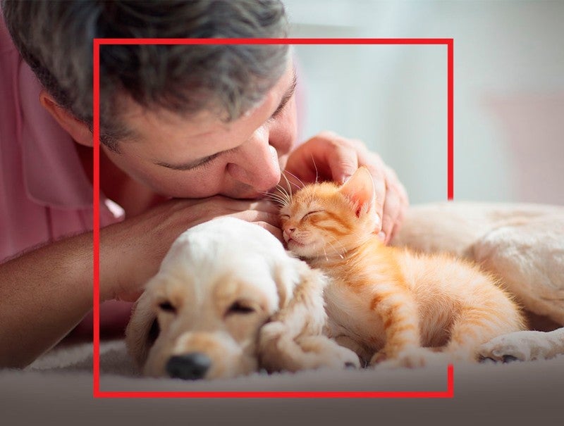 Hombre besando a un cachorro y a un gatito que duermen juntos
