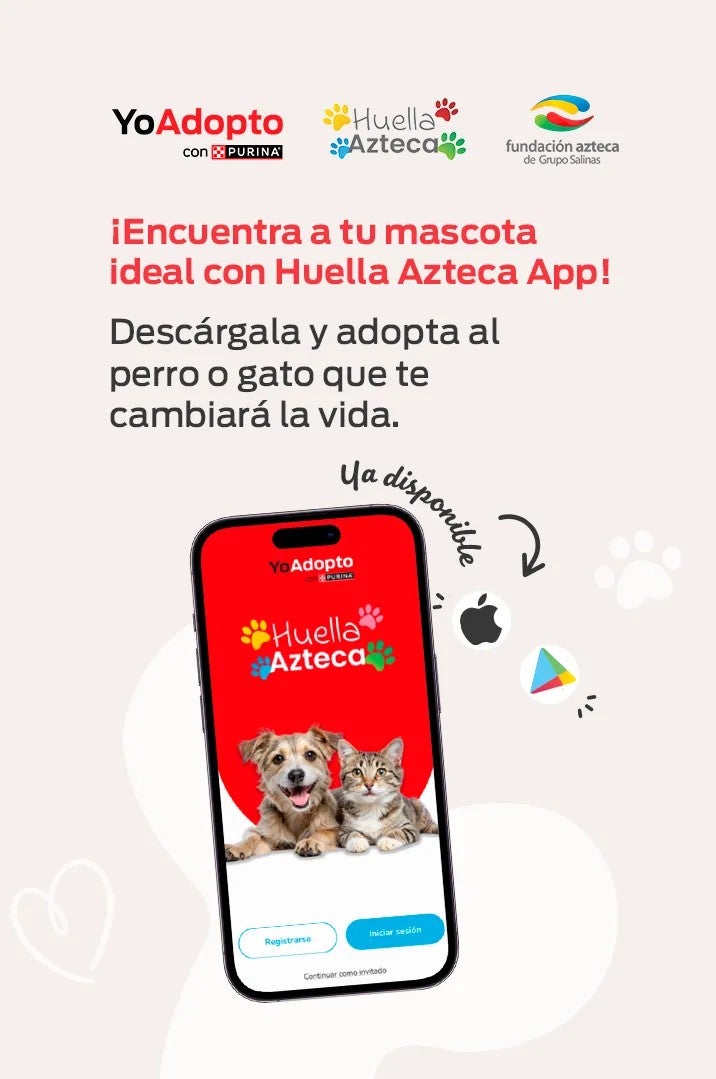 App Huella Azteca para adoptar una mascota