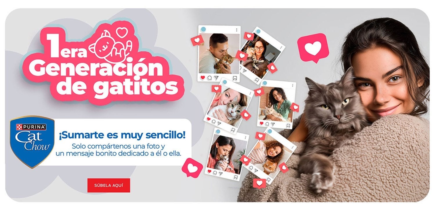 Campaña 1era Generación de gatitos de Purina Cat Chow: mujer abrazando a su gato junto a fotos de personas con sus gatitos. ¡Sumarte es muy sencillo! Solo compártenos una foto y un mensaje bonito dedicado a él o ella.