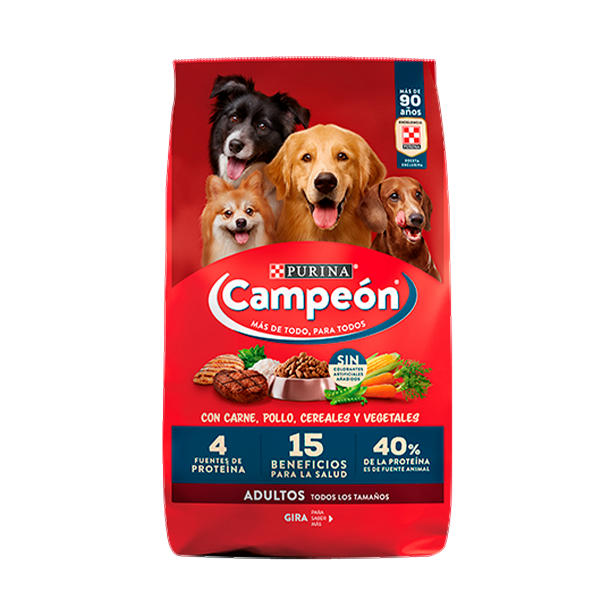 Empaque de Campeón® Adultos todos los tamaños, vista frontal