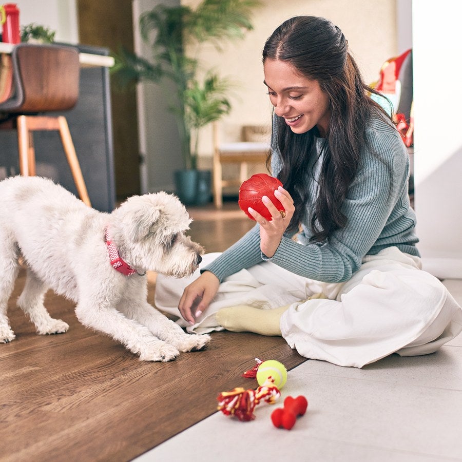 Mujer jugando con su perro en la sala