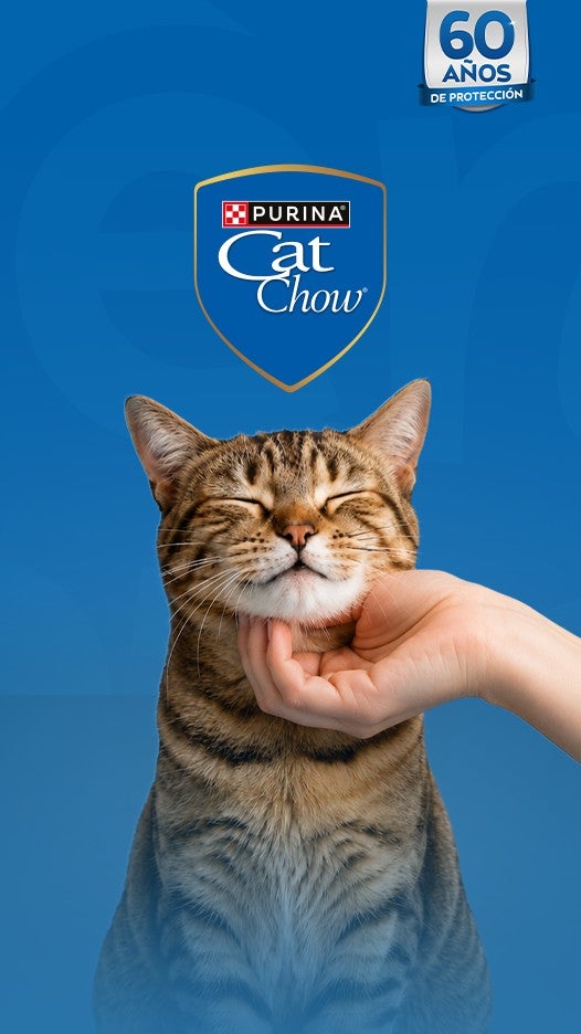 Gato recibiendo una caricia en la barbilla, con el logo de Purina Cat Chow y el sello 60 años de protección