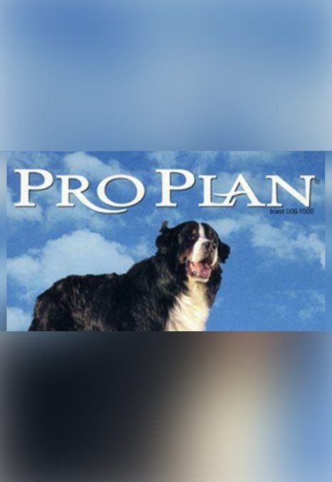 Alt Placeholder