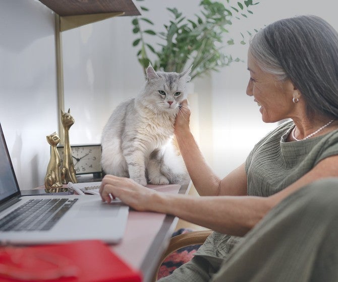 Mujer acaricia a su gato junto a la computadora