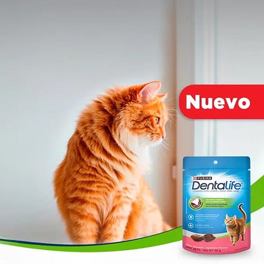 Gato de pelo naranja junto al nuevo empaque de Purina® Dentalife® para gatos sabor salmón