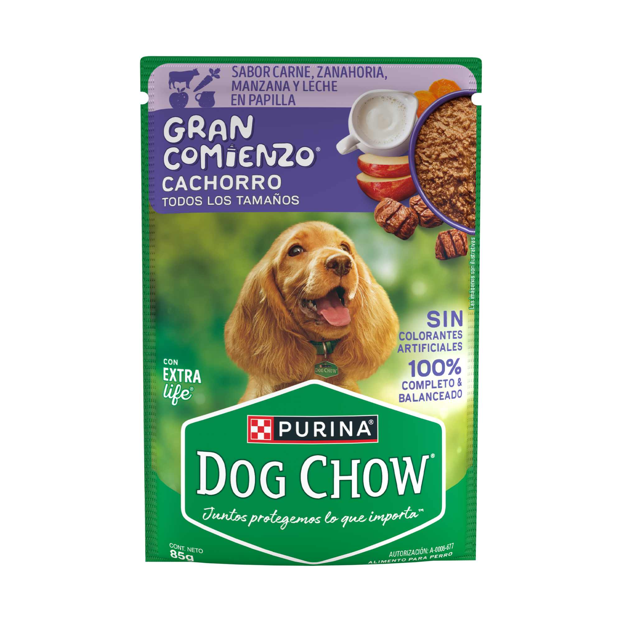 Empaque de DOG CHOW® Gran Comienzo® CACHORRO Sabor Carne, Zanahoria, Manzana y Leche en Papilla, vista frontal
