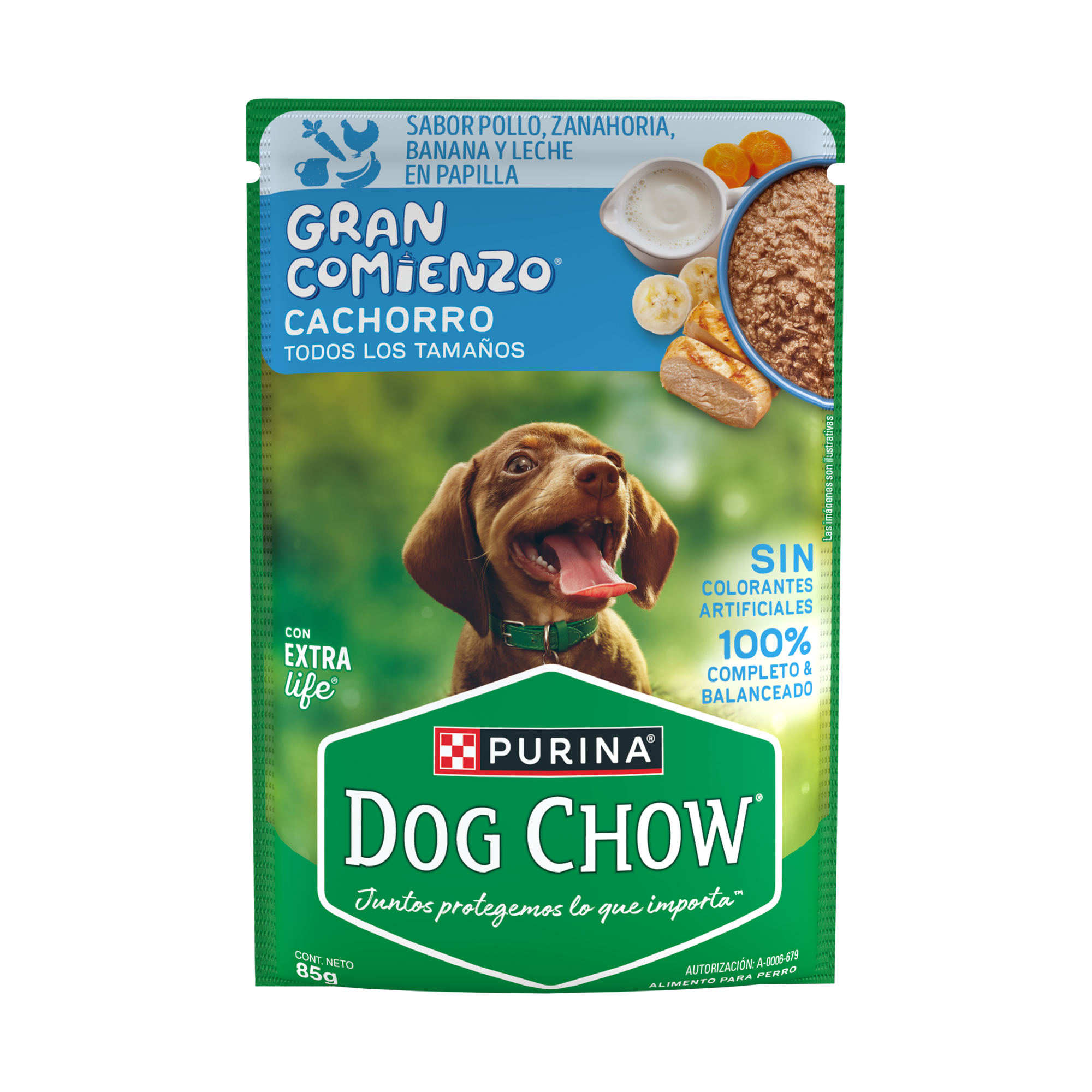 Empaque de DOG CHOW® Gran Comienzo® CACHORRO Sabor Pollo, Zanahoria, Banana y Leche en Papilla, vista frontal