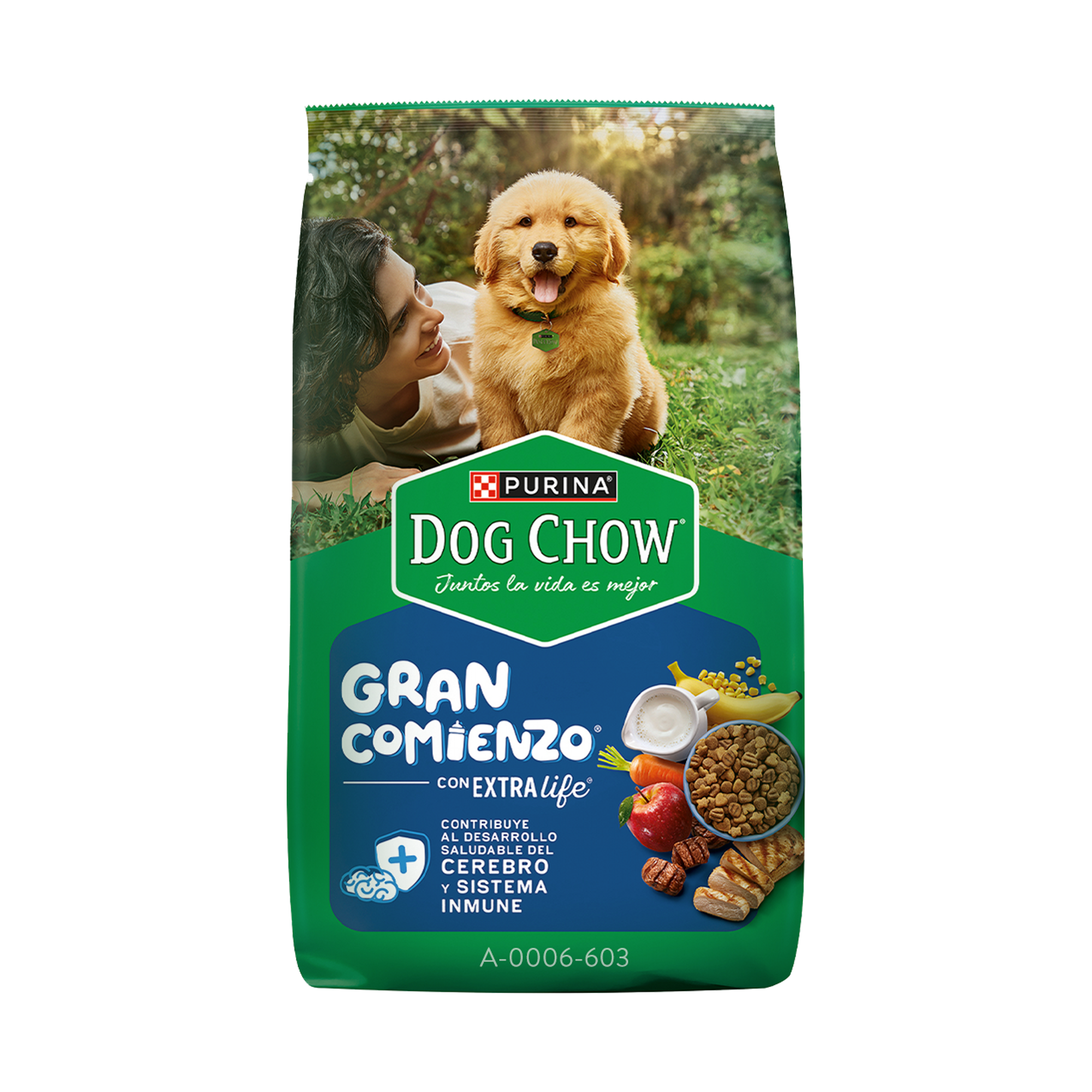Empaque de Dog Chow gran comienzo cachorros medianos y grandes, vista frontal