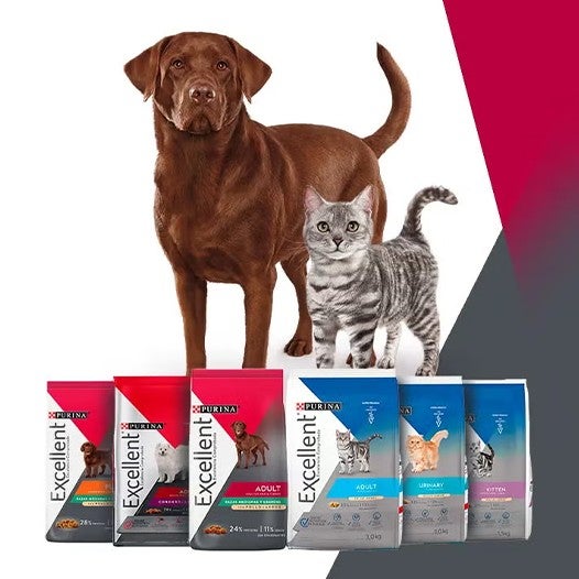 Perro labrador café y gato atigrado gris junto a los empaques de alimento Purina® Excellent® para perros y gatos