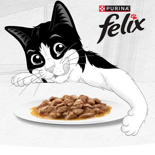 Ilustración del gato Felix® relamiéndose frente a un plato de alimento húmedo Purina® Felix®