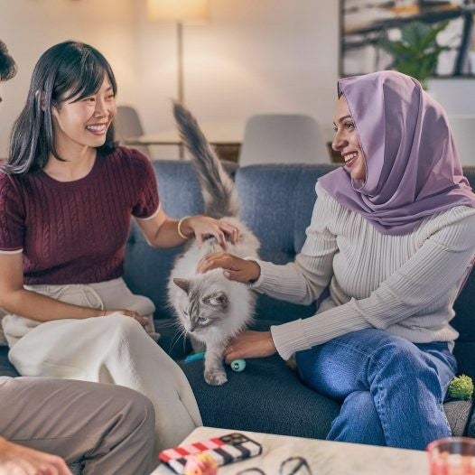 Amigos juegan con un gato en la sala
