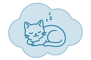 Ícono de gatito descansando que representa lo que sigue después de la esterilización de gatos.