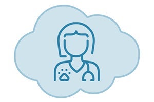 Ícono de veterinaria como aliada en la esterilización de gatos.