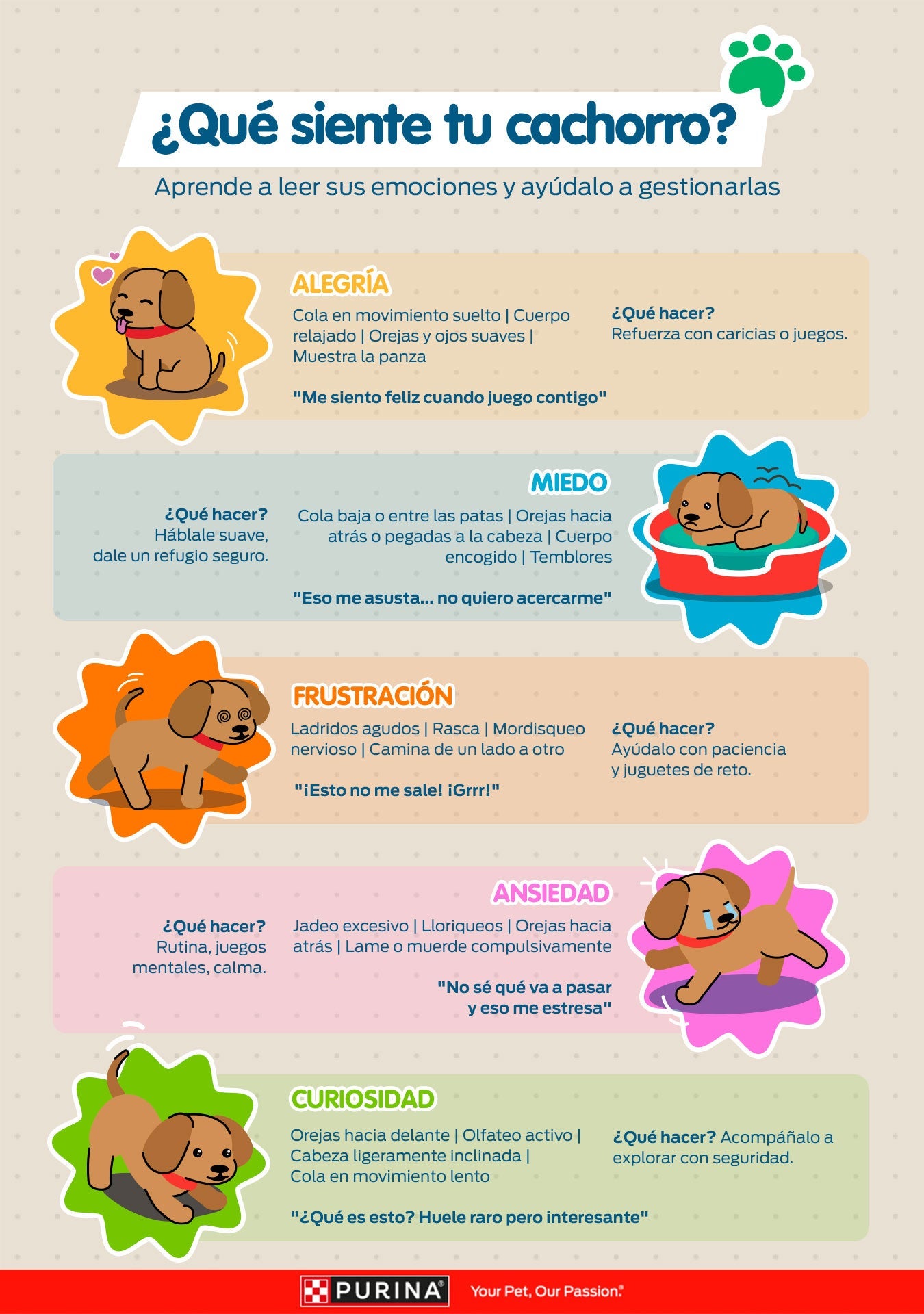Infografía ¿Qué siente tu cachorro?: señales de alegría, miedo, frustración, ansiedad y curiosidad, y qué hacer en cada caso