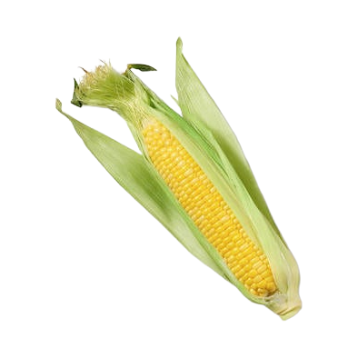 Maíz