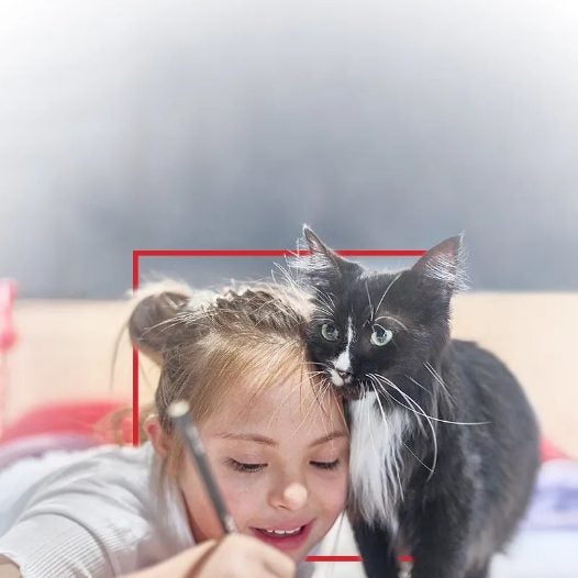 Una niña junto a su gato mientras dibuja