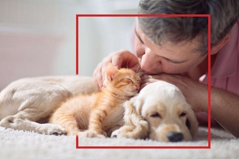 Persona abrazando a un gatito y un cachorro