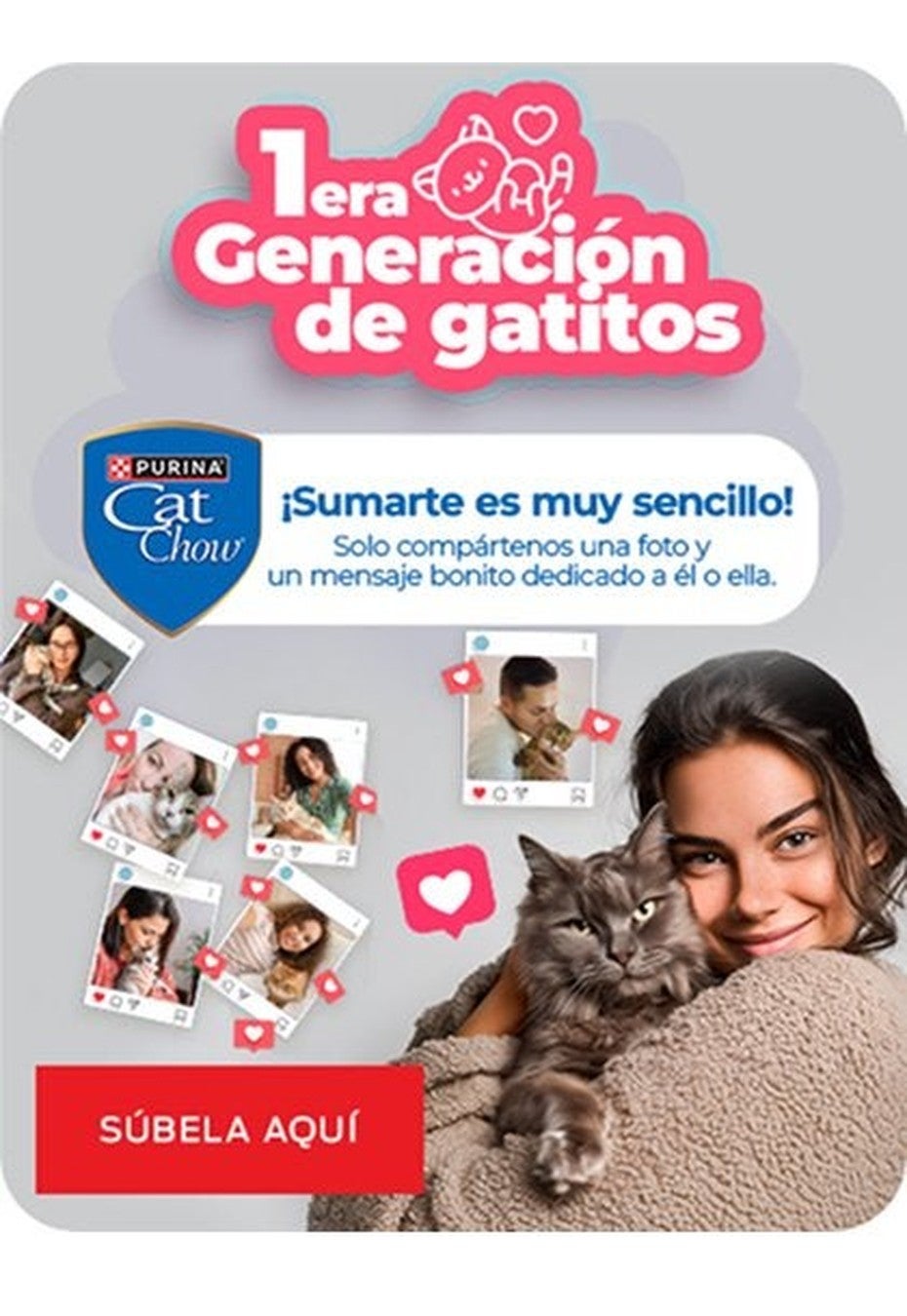 1era Generación de gatitos de Purina Cat Chow: compártenos una foto y un mensaje bonito dedicado a tu gatito