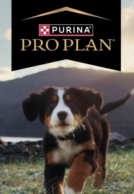 Alt Placeholder