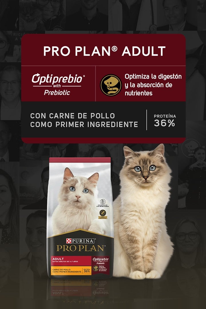 Purina® Pro Plan® Adult para gatos con Optiprebio® with Prebiotic: optimiza la digestión y la absorción de nutrientes. Con ca