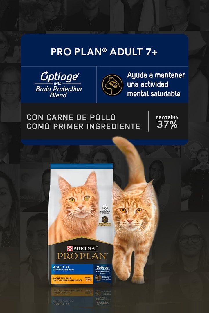 Purina® Pro Plan® Adult 7+ para gatos con Optiage® Brain Protection Blend: ayuda a mantener una actividad mental saludable. C