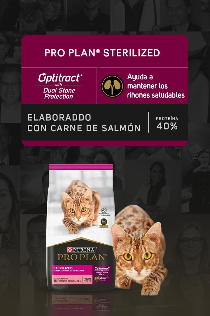Purina® Pro Plan® Sterilized para gatos con Optitract® Dual Stone Protection: ayuda a mantener los riñones saludables. Elabor