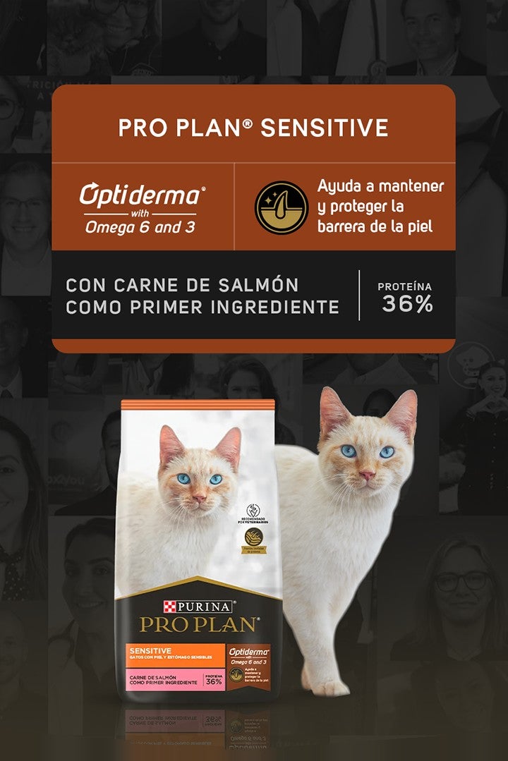 Purina® Pro Plan® Sensitive para gatos con Optiderma® Omega 6 and 3: ayuda a mantener y proteger la barrera de la piel. Con c
