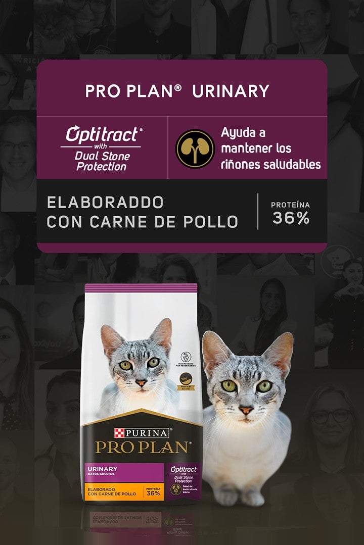 Purina® Pro Plan® Urinary para gatos con Optitract® Dual Stone Protection: ayuda a mantener los riñones saludables. Elaborado