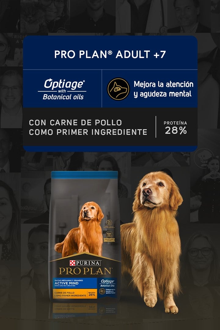 Purina® Pro Plan® Adult 7+ con Optiage® Botanical Oils: mejora la atención y agudeza mental. Con carne de pollo como primer i
