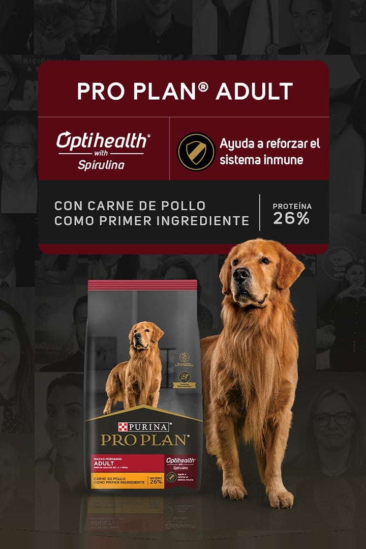 Purina® Pro Plan® Adult con Optihealth® with Spirulina: ayuda a reforzar el sistema inmune. Con carne de pollo como primer in