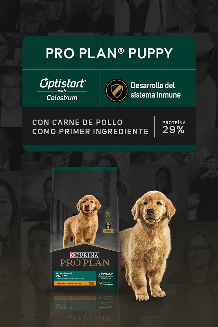 Purina® Pro Plan® Puppy con Optistart® with Colostrum: desarrollo del sistema inmune. Con carne de pollo como primer ingredie