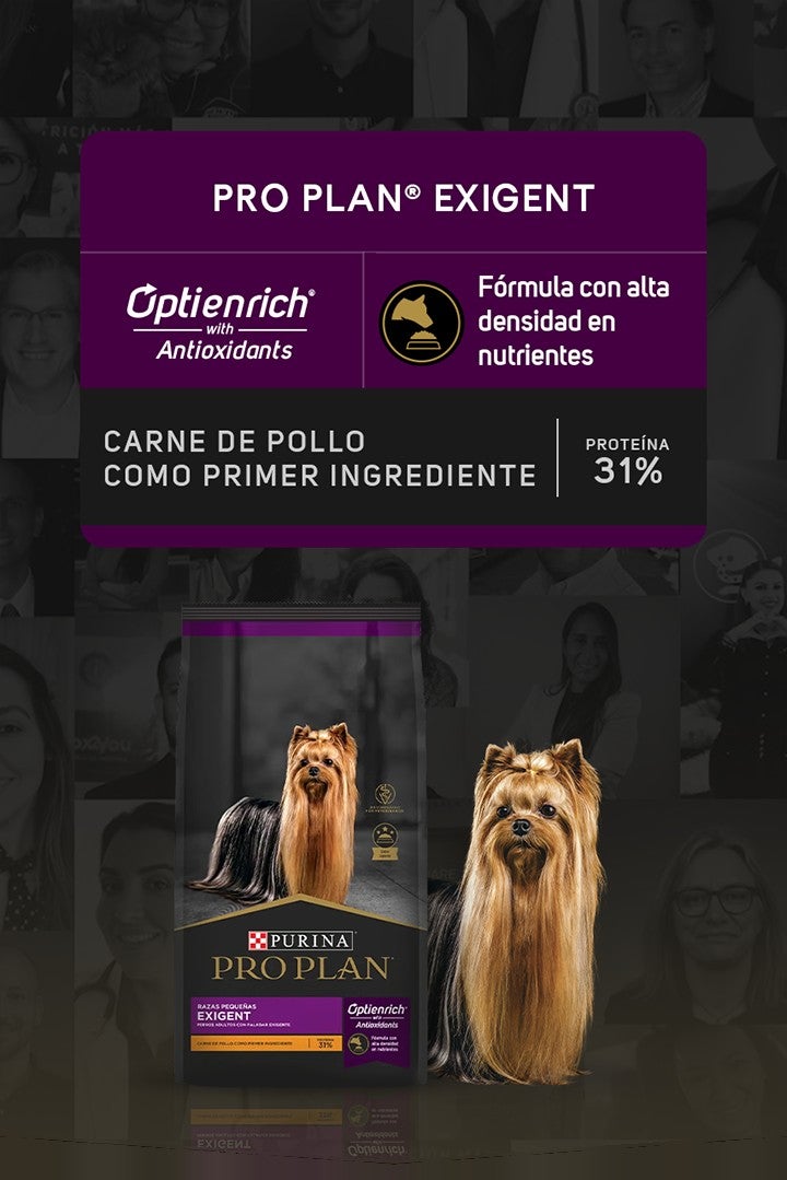 Purina® Pro Plan® Exigent con Optienrich® with Antioxidants: fórmula con alta densidad en nutrientes. Carne de pollo como pri